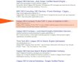 SEO Consultant in Calgary